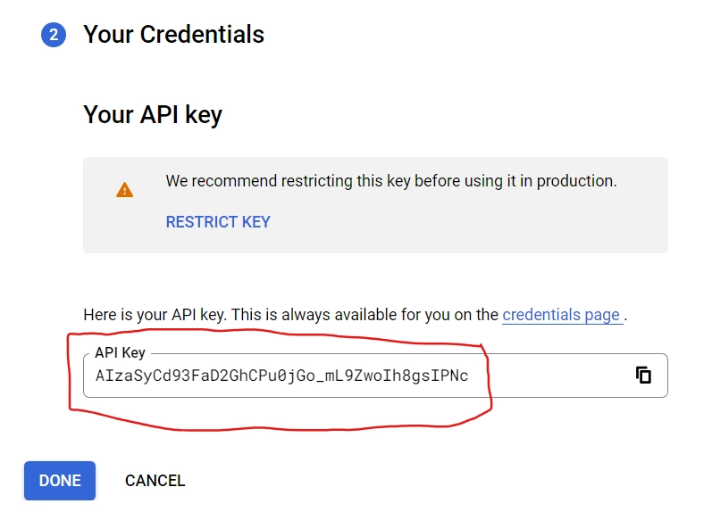 copy your youtube data api v3 key