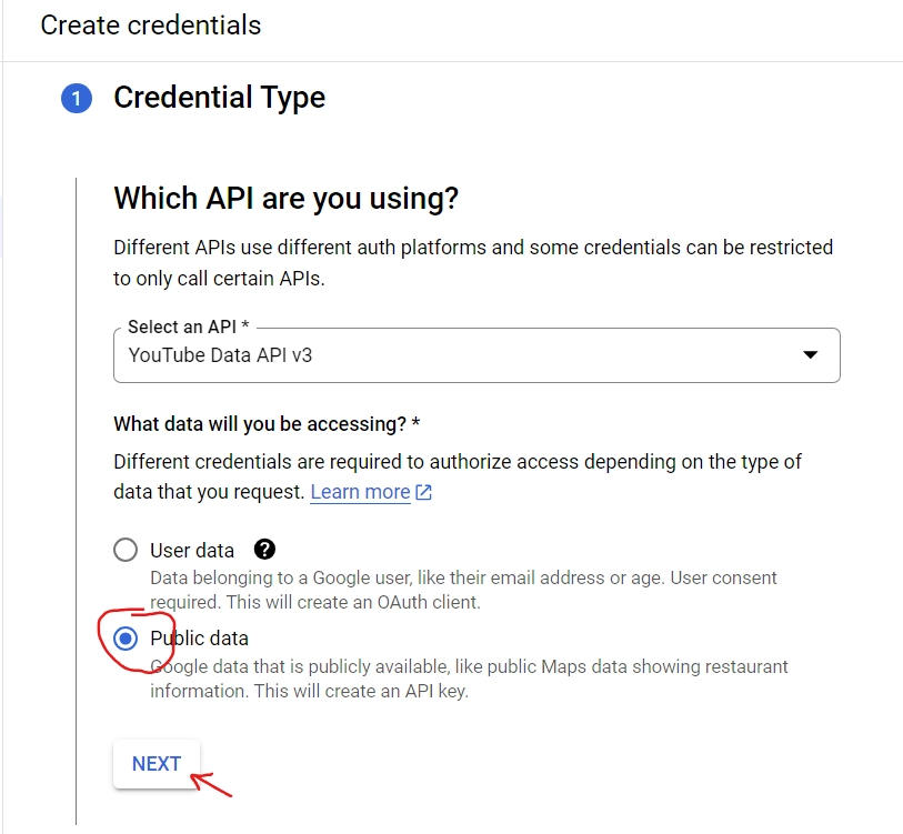 creating youtube api key step 10 choose Public Date and click next