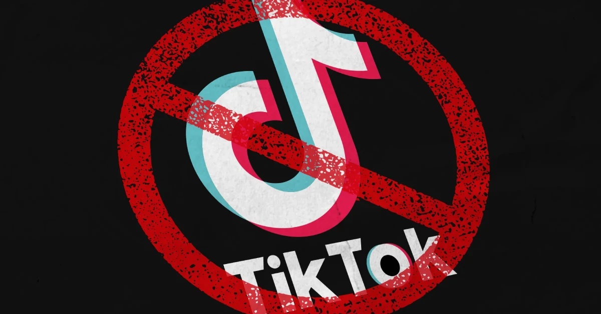 TikTok Ban! What, Why & Future! API Buddy